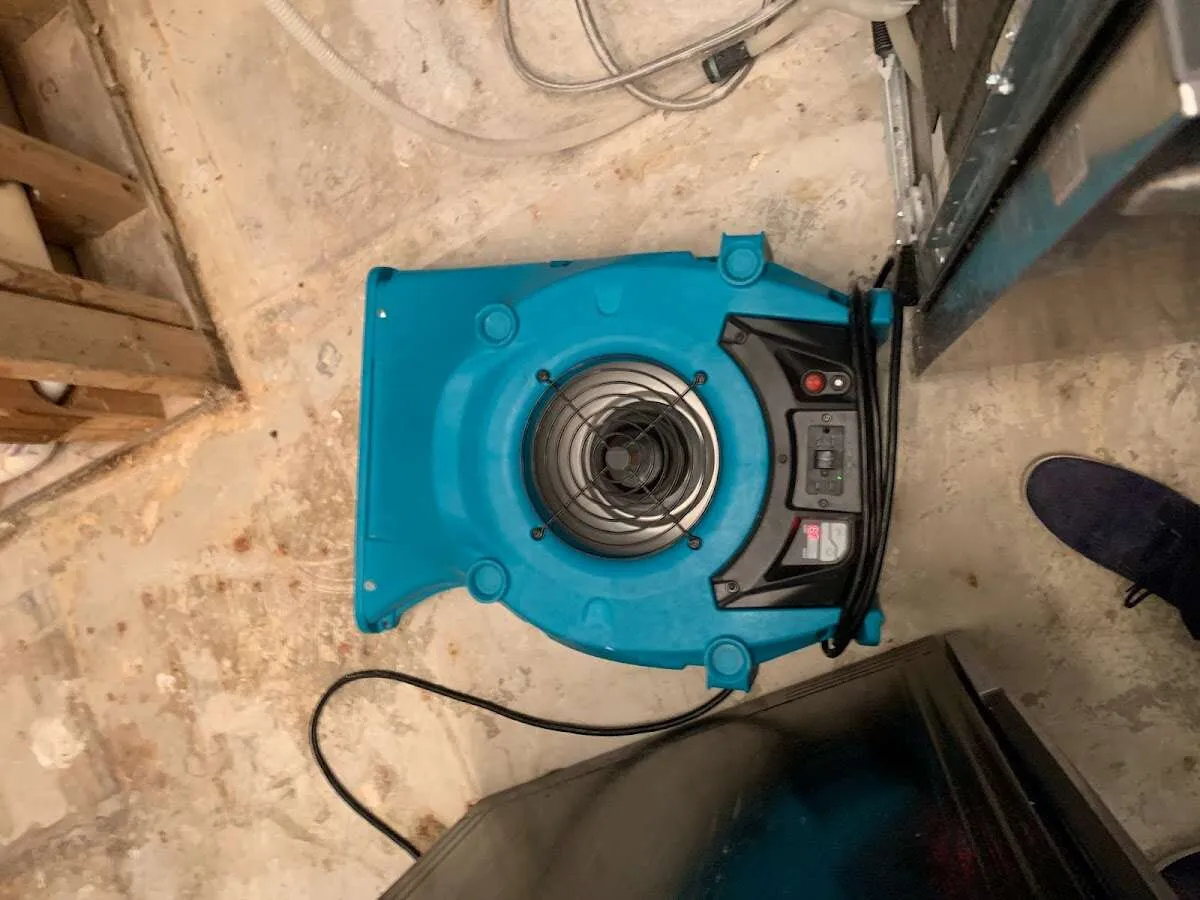 Air mover drying equipment for Mold Remediation & Removal in Manville